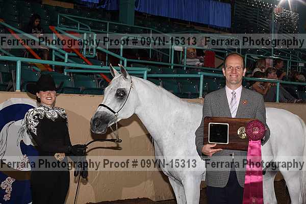 Proof 09yn-15313