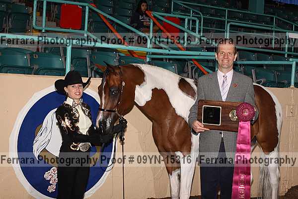 Proof 09yn-15316