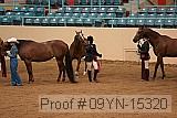 09yn-15320 proof