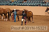 09yn-15321 proof