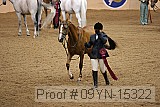 09yn-15322 proof