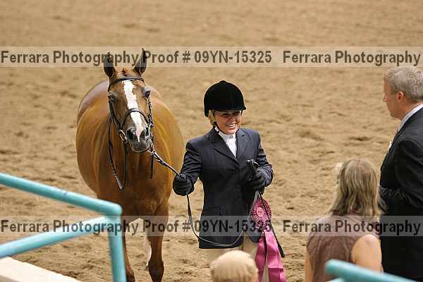 Proof 09yn-15325