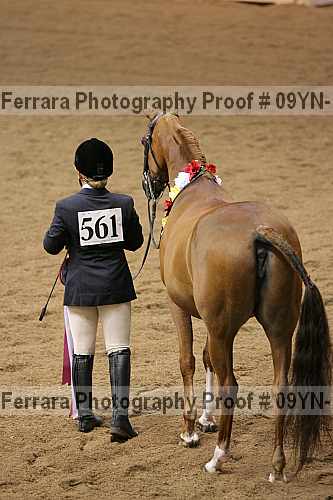 Proof 09yn-15343