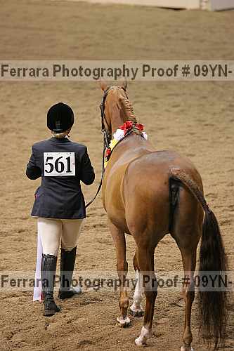 Proof 09yn-15344