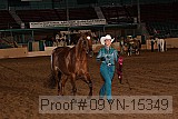 09yn-15349 proof
