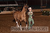 09yn-15351 proof