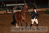 09yn-15358 proof