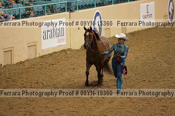 Proof 09yn-15360