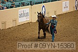 09yn-15360 proof