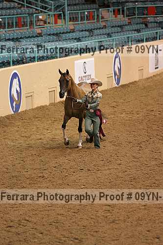 Proof 09yn-15362