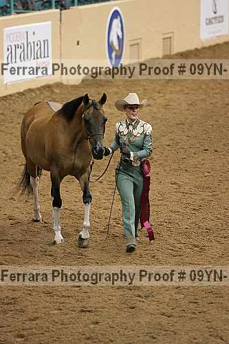 Proof 09yn-15363