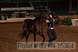 09yn-15364 proof