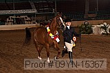 09yn-15367 proof