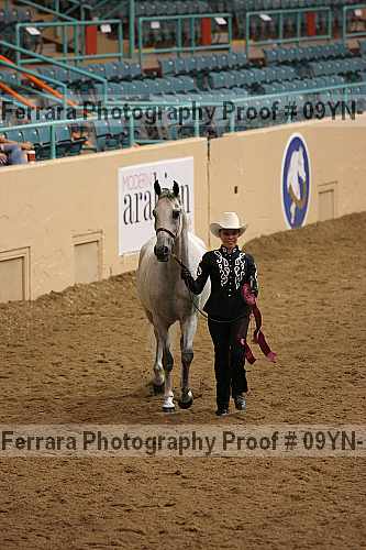 Proof 09yn-15368