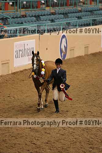 Proof 09yn-15374