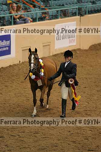 Proof 09yn-15375