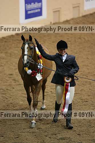 Proof 09yn-15378