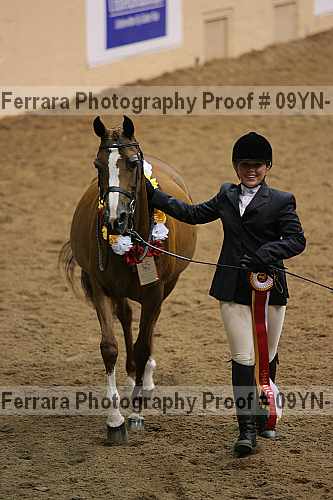 Proof 09yn-15379
