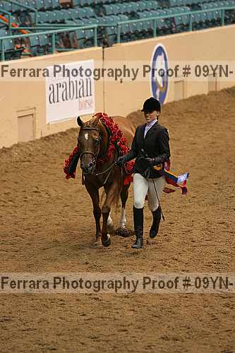 Proof 09yn-15380