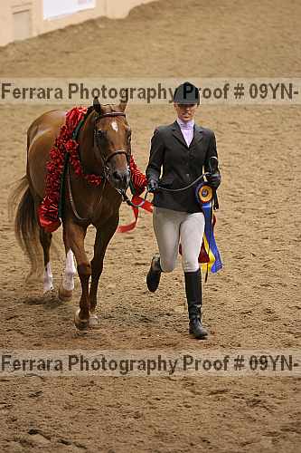 Proof 09yn-15382