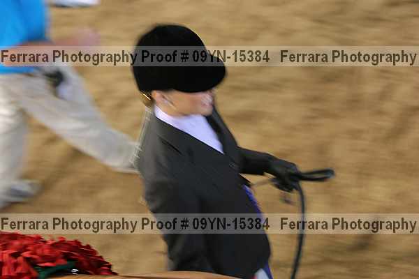 Proof 09yn-15384