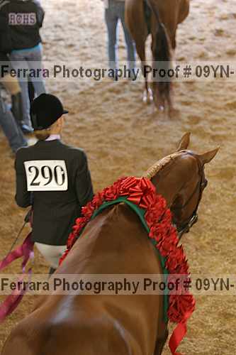 Proof 09yn-15385