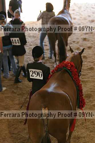 Proof 09yn-15386