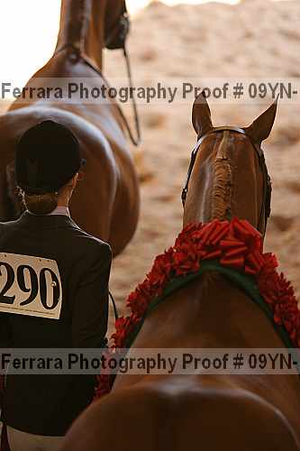 Proof 09yn-15387