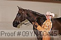 09yn-00445 proof