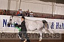 09yn-00483 proof