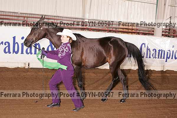 Proof 09yn-00507