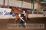 09yn-09741 proof