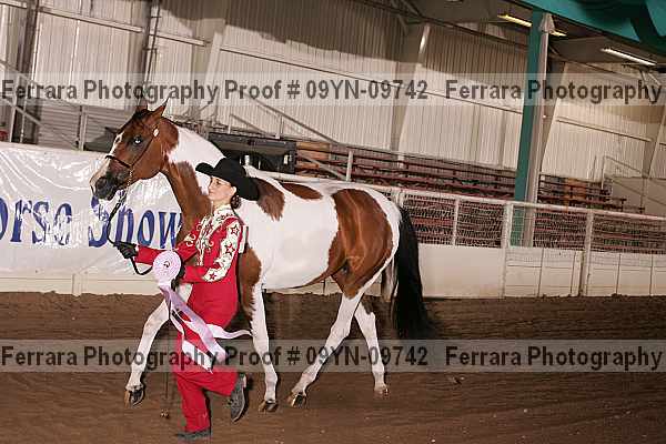 Proof 09yn-09742