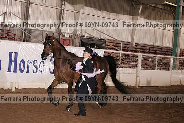 Proof 09yn-09743