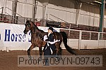09yn-09743 proof