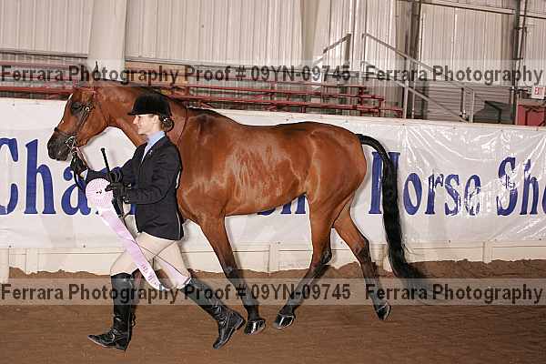 Proof 09yn-09745