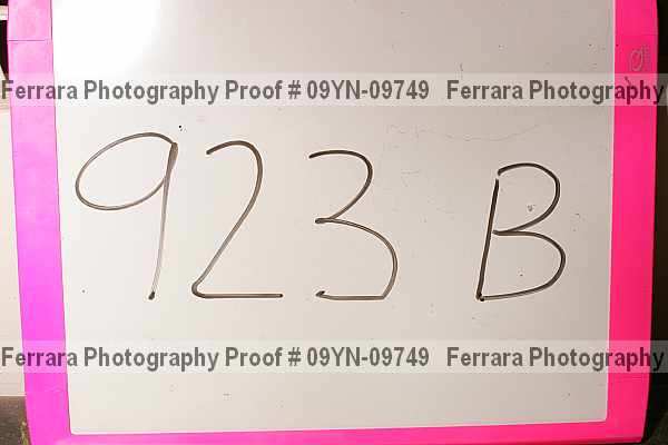 Proof 09yn-09749