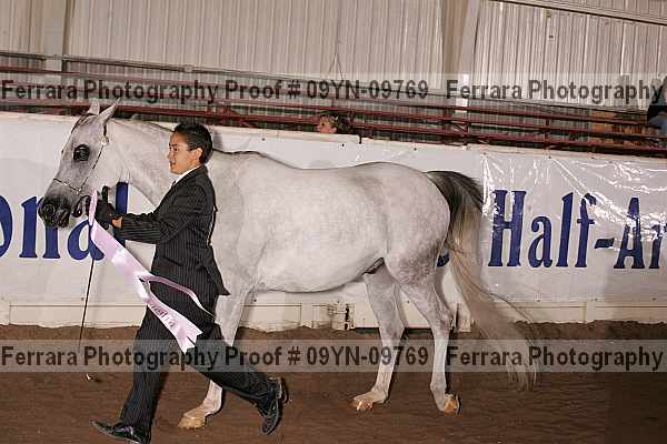 Proof 09yn-09769