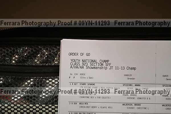 Proof 09yn-11293