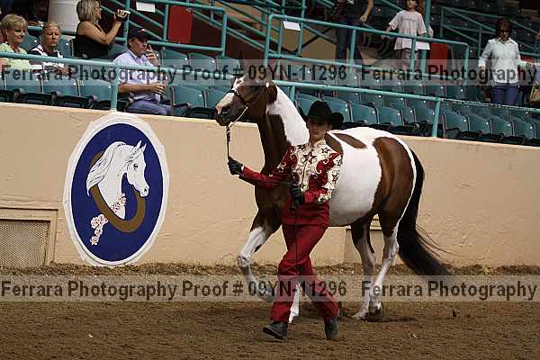 Proof 09yn-11296
