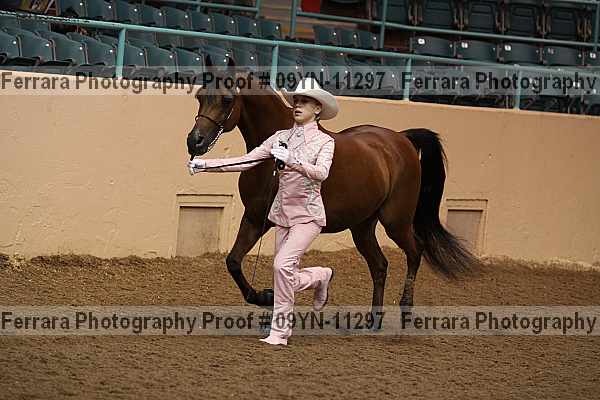 Proof 09yn-11297