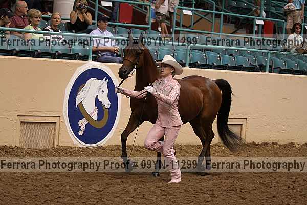 Proof 09yn-11299