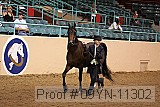 09yn-11302 proof