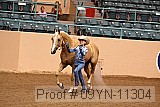 09yn-11304 proof