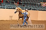 09yn-11306 proof