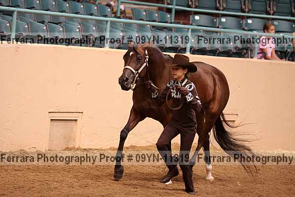 Proof 09yn-11319