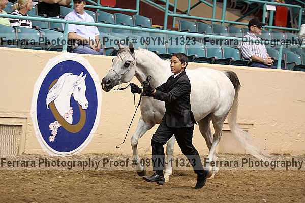 Proof 09yn-11323