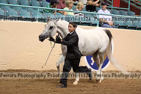 Proof 09yn-11324
