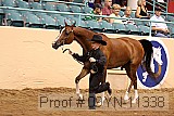 09yn-11338 proof