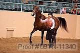 09yn-11340 proof